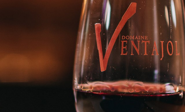vins