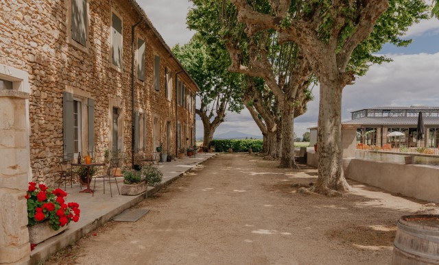Domaine