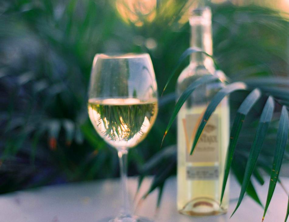 Discover Our New Wonder: The 2024 Côtes du Rhône White from Domaine Ventajol